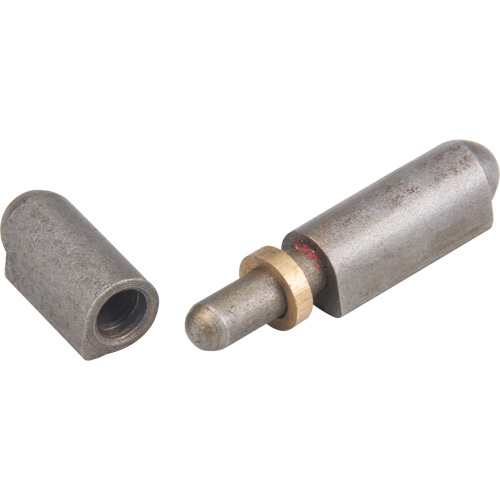 Weld - On Hinge