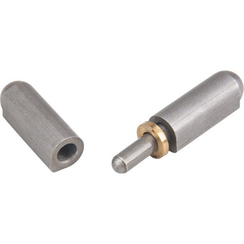 Weld - On Hinge