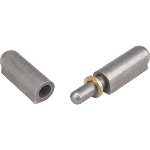 Weld - On Hinge