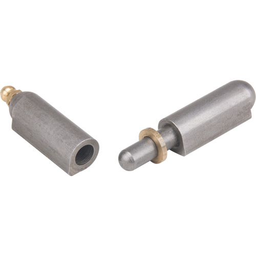 Weld - On Hinge