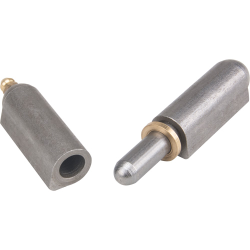 Weld - On Hinge