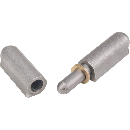 Weld - On Hinge