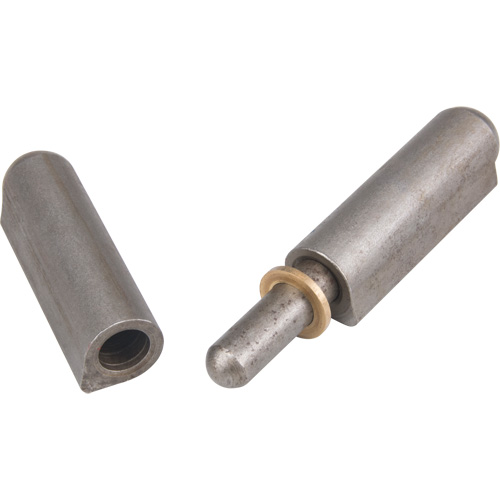 Weld - On Hinge