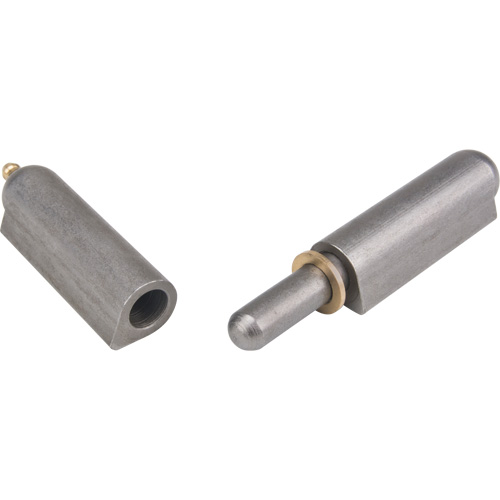 Weld - On Hinge