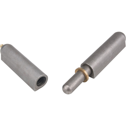 Weld - On Hinge