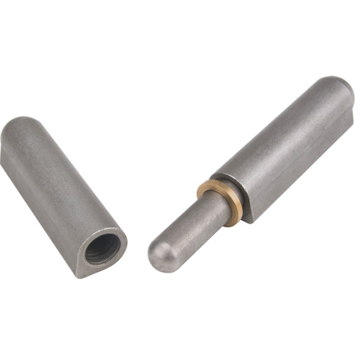 Weld - On Hinge