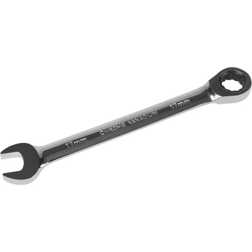 Metric Ratcheting Combination Wrench