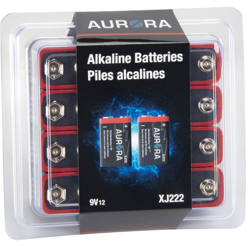 XJ222 Industrial Alkaline Batteries, 9 V