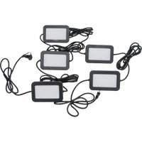 String Light Systems | Aurora Tools