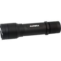 XJ596 IP67 Flashlight, LED, 2000 Lumens, Rechargeable Batteries