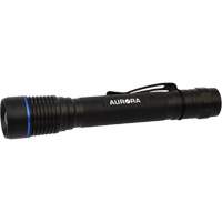 XJ597 IPX7 Flashlight, LED, 250 Lumens, AA Batteries